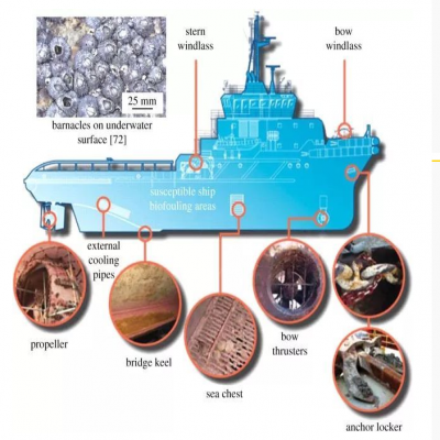 Ship anti - fouling, the United States, new, Australia new regulations